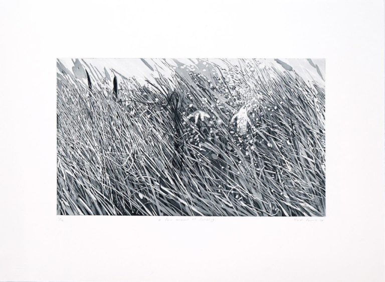 'A Fair amount of fumbling' (2020) Step-bite aquatint etching and drypoint, 36.4 x 49.5 cm, edition of 12, R 4 750 (VAT incl., unframed)