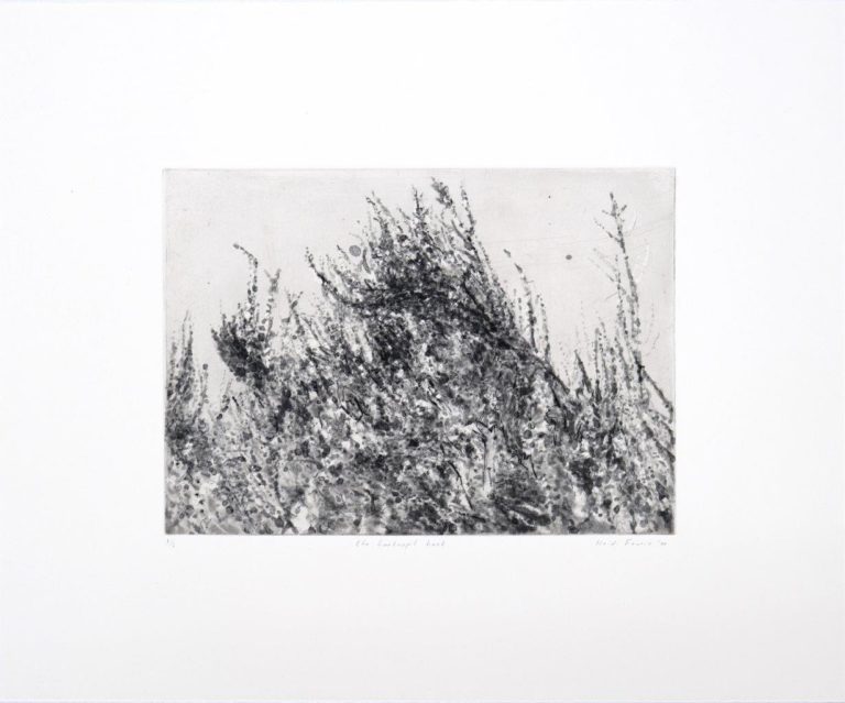 'The Bankrupt Bush' (2020) Two-plate spit-bite aquatint etching and drypoint, 35.8 x 43.4 cm, edition of 6, R 4 750 (VAT incl., unframed)